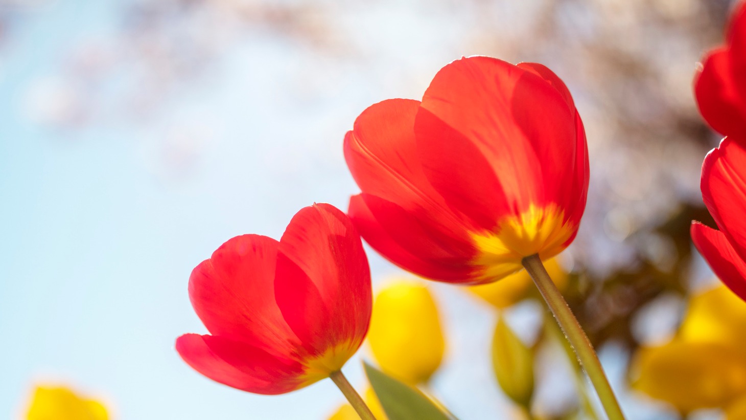 Frühjahrsfest 22.03.2026